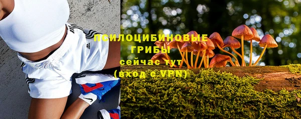 кокаин колумбия Алексин