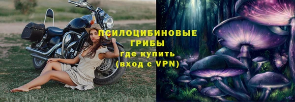 герыч Алзамай