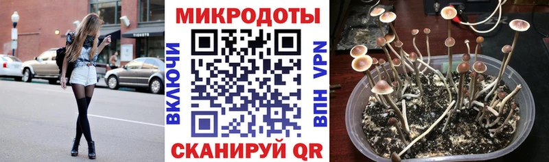 Псилоцибиновые грибы мицелий  МЕГА ССЫЛКА  Сатка  хочу  